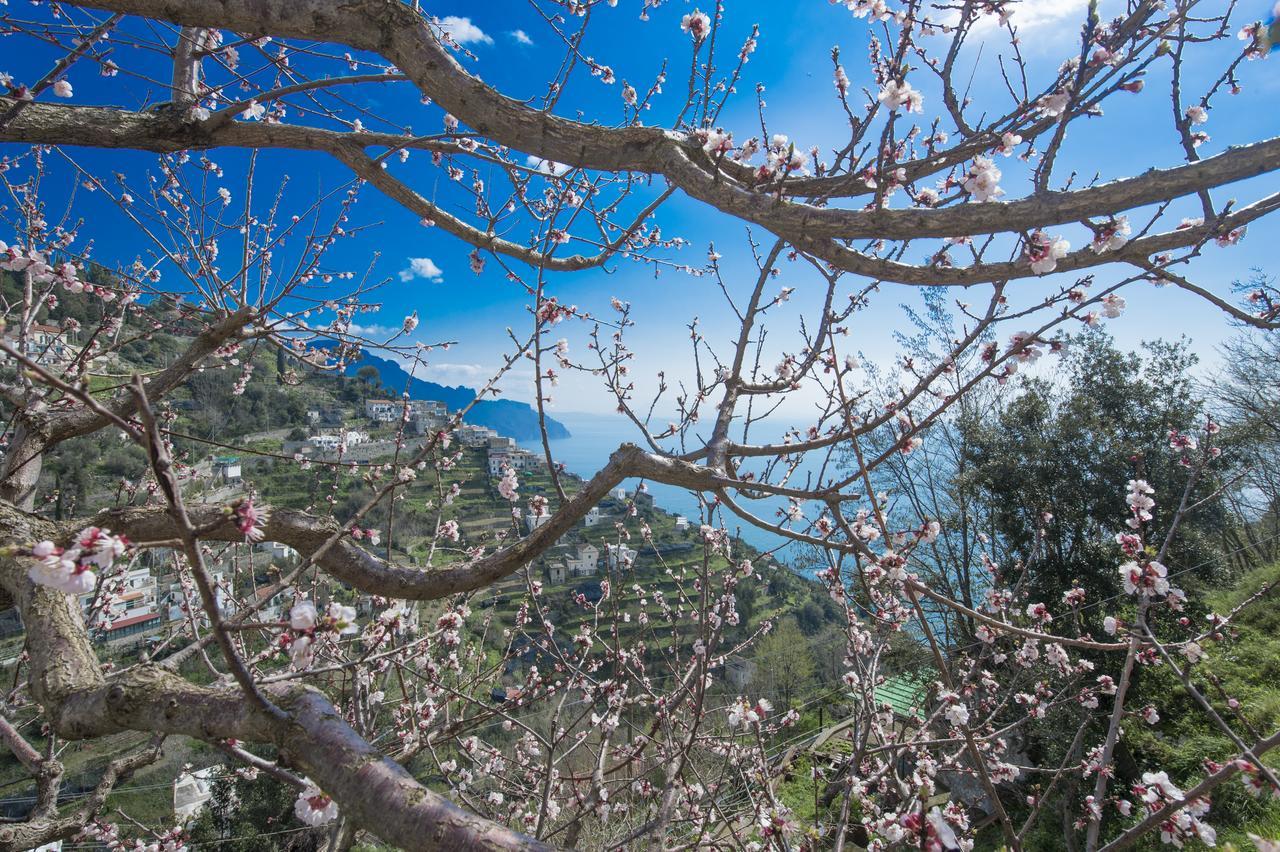 Casa Pina Apartment Amalfi Exterior photo