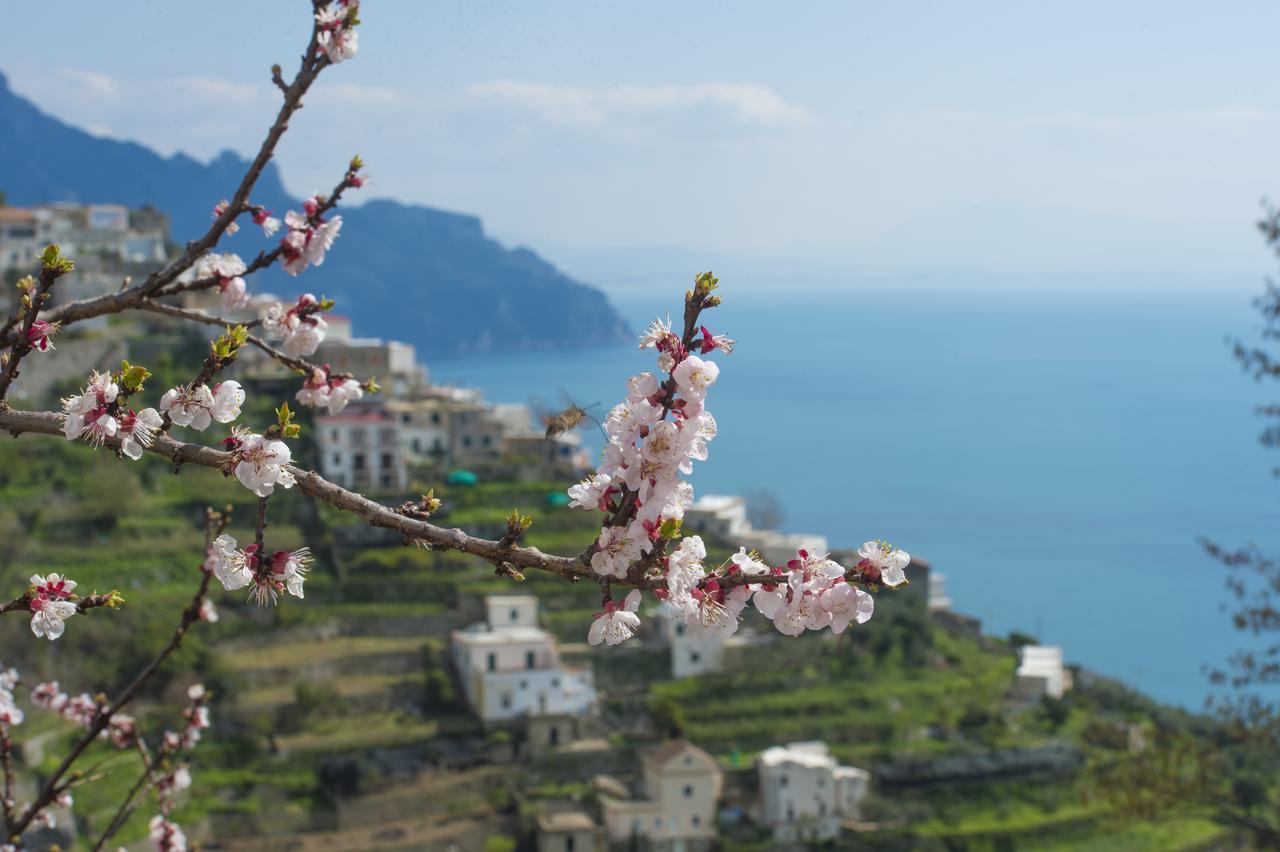 Casa Pina Apartment Amalfi Exterior photo